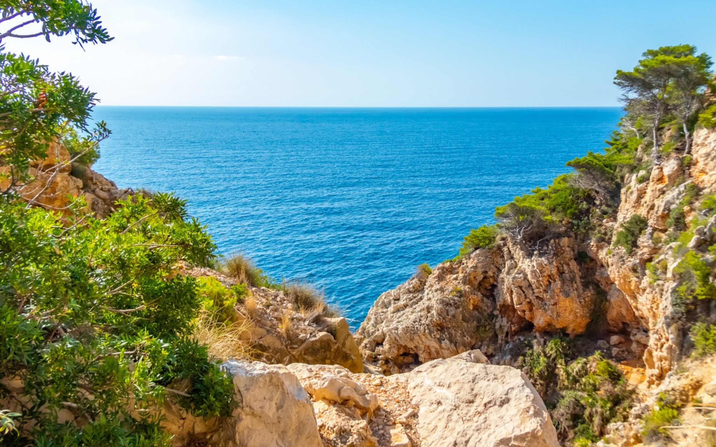 丘から海が見える景色